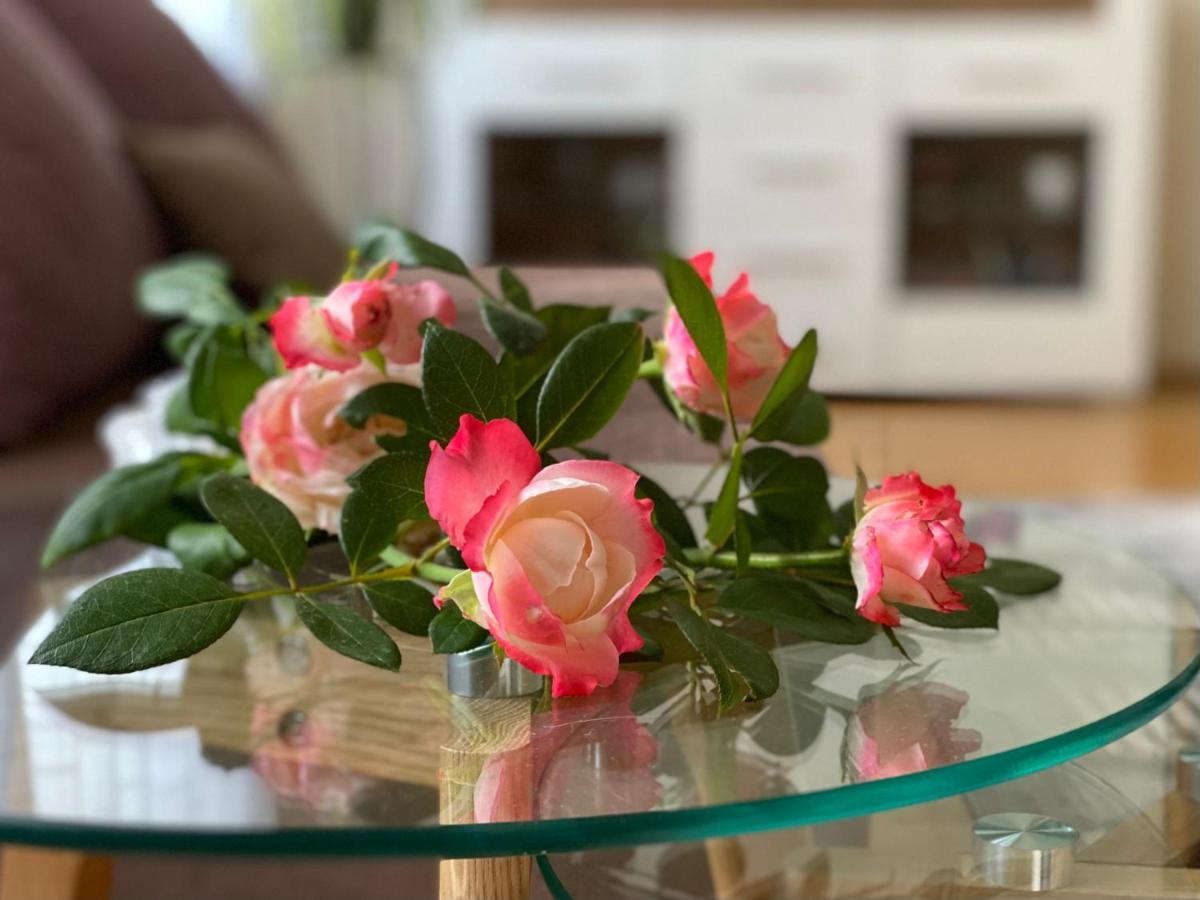 בודפשט Teresa Apartment מראה חיצוני תמונה